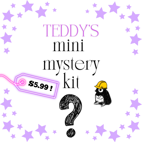 Teddy's Mini Mystery Kit!